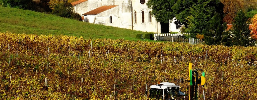Winnice koniaku i destylarnie półdniowa prywatna wycieczka z Charente