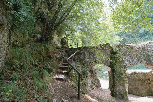Nat Geo Day Tour: The History of Pasta