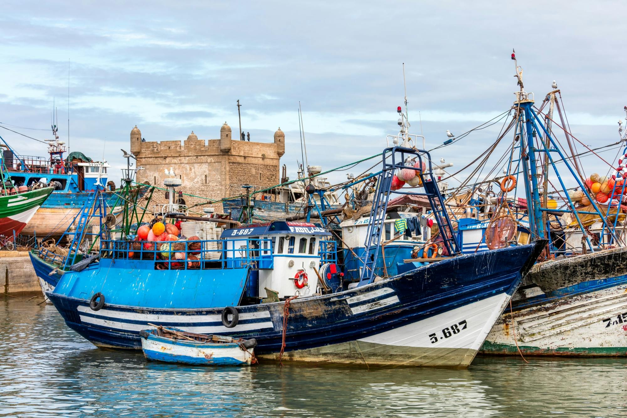 Essaouira Medina och hamntur med Argan Coop-besök