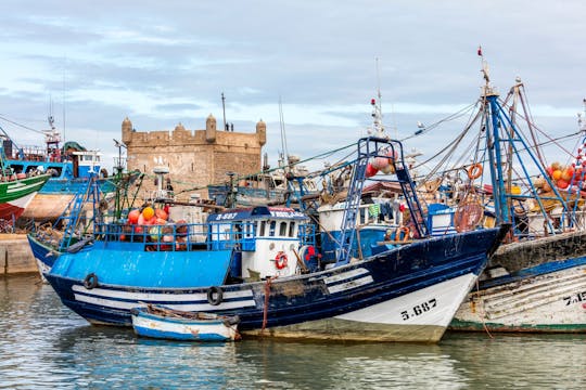 Besøg Essaouiras medina, havnen og værksteder med argan-produkter