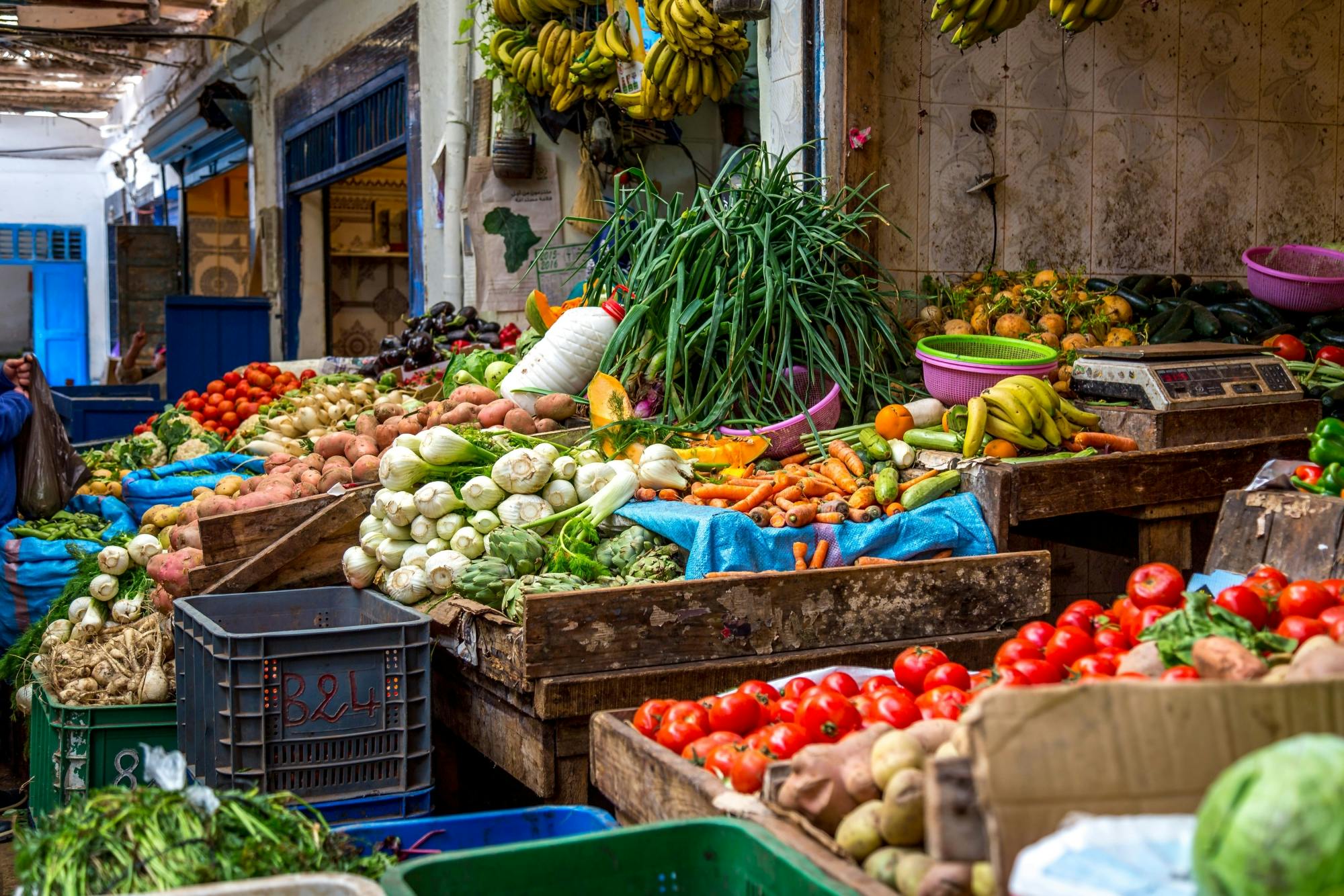 Essaouira Medina and Harbour Tour with Argan Coop Visit