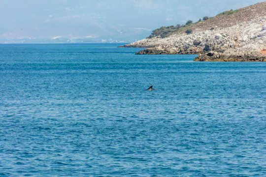 Båttur i Egeiska havet endast för vuxna med transfer