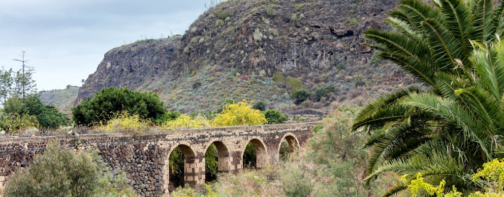 Nordlige Gran Canaria med besøk i botanisk hage