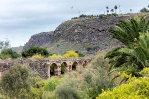 North Gran Canaria: Day Trips and Tours from Gran Canaria