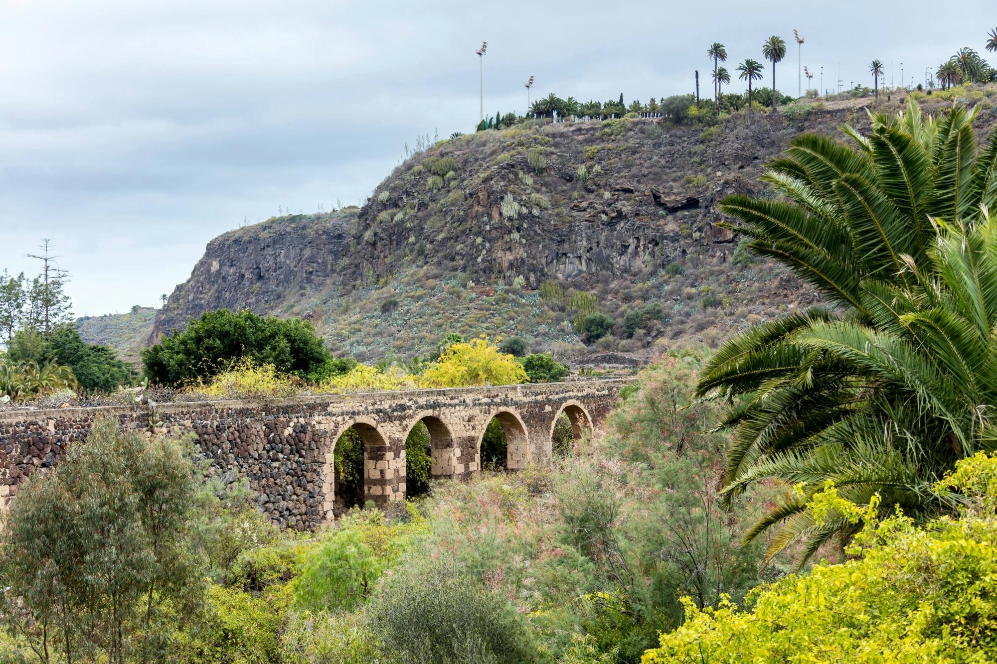 Visite du nord de Gran Canaria avec le jardin botanique Viera y Clavijo