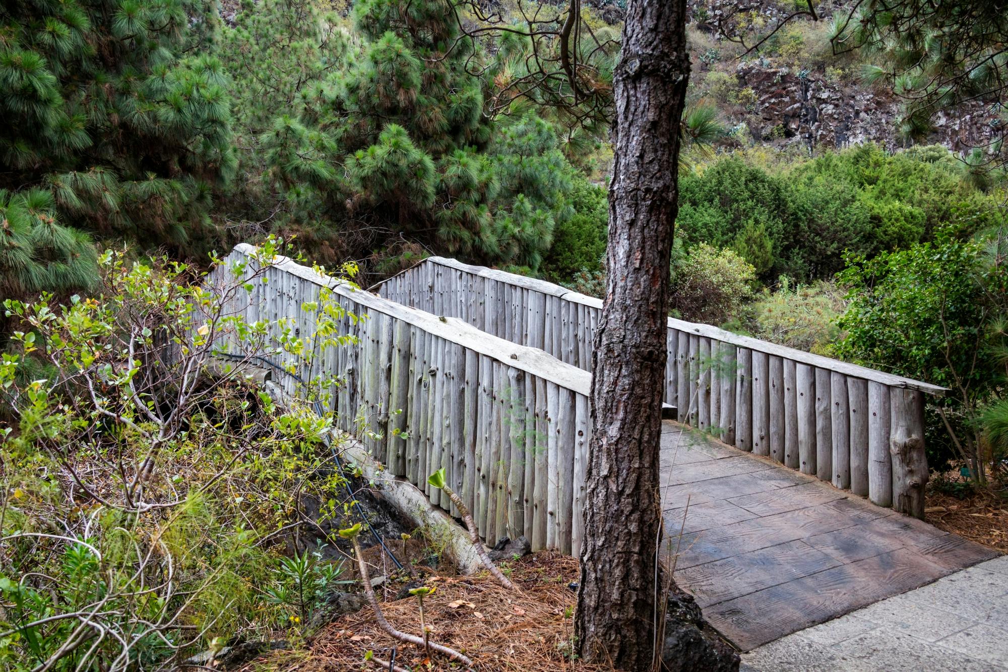 Northern Gran Canaria Tour with Botanical Garden Visit