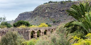 Northern Gran Canaria tour with botanical garden visit