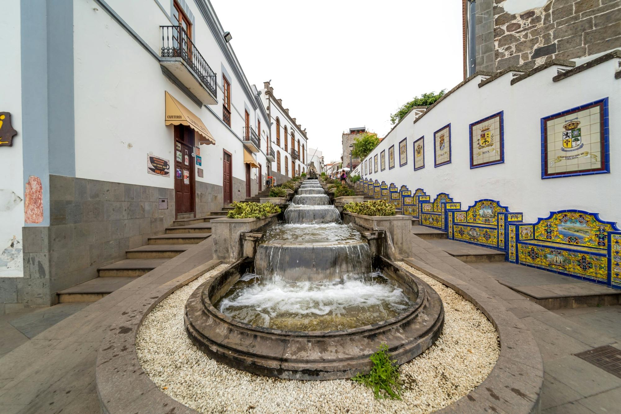 Northern Gran Canaria Tour with Botanical Garden Visit