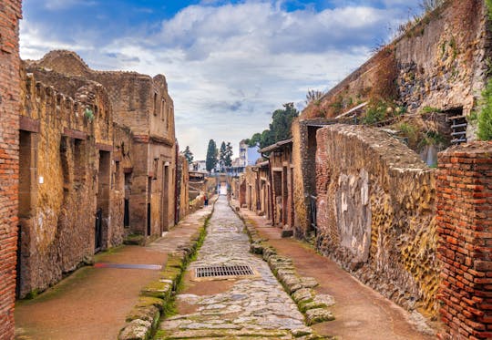 Herculaneum: Ticket ohne Anstehen mit Audioguide