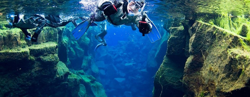 Snorkeling nel blu a Silfra con trasferimento