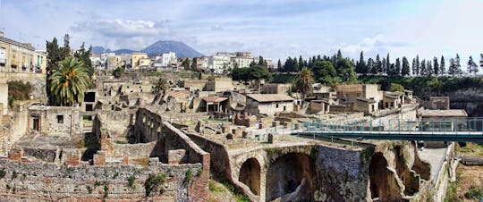 Visite guidée d'une demi-journée d'Herculanum avec billets d'entrée depuis Sorrente