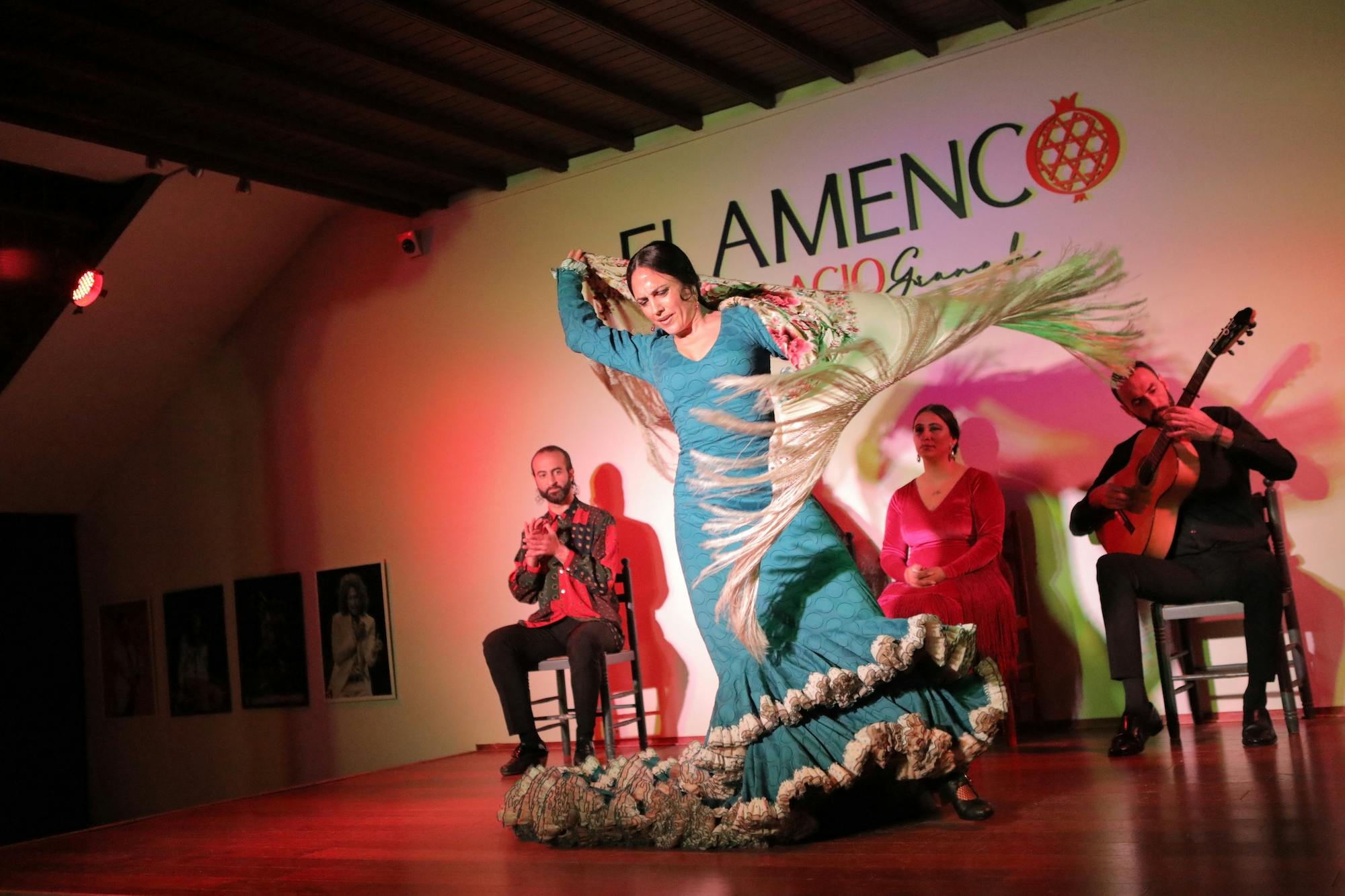 Spectacle de flamenco d'une heure au Palacio Flamenco de Grenade