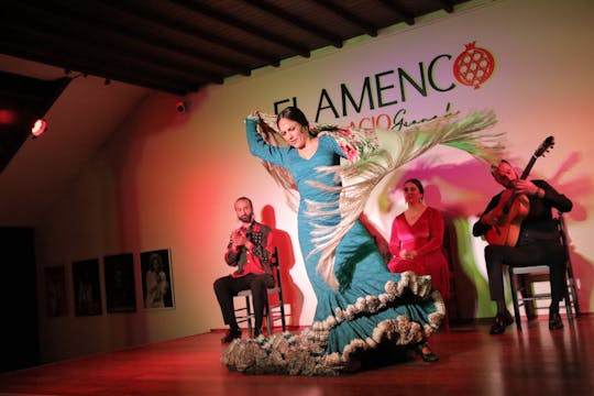 Spettacolo di flamenco di 1 ora al Palacio Flamenco di Granada