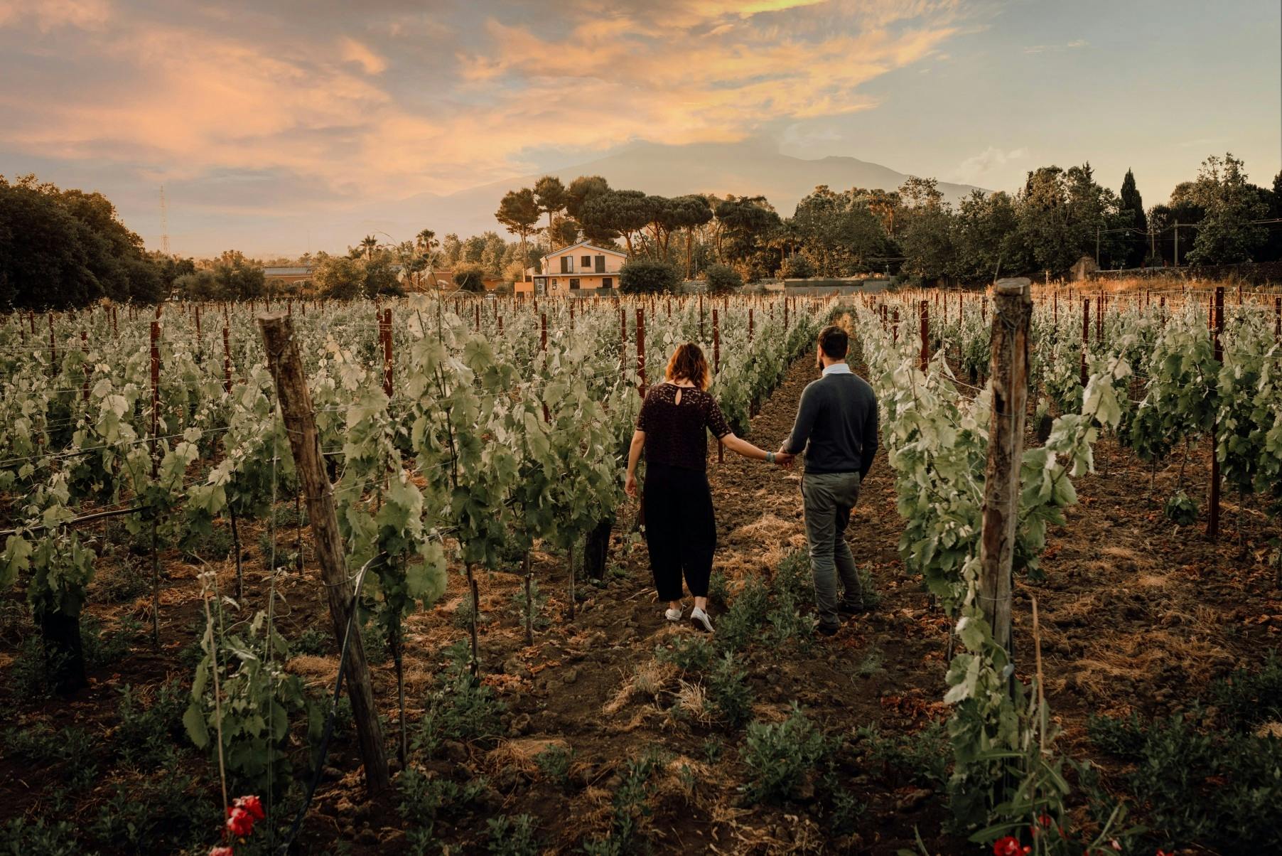 Sonnenuntergangstour und Verkostung mit passenden Speisen in Sizilien