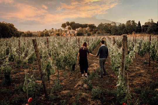 Sunset Tour and Tasting with Food Pairings in Sicily