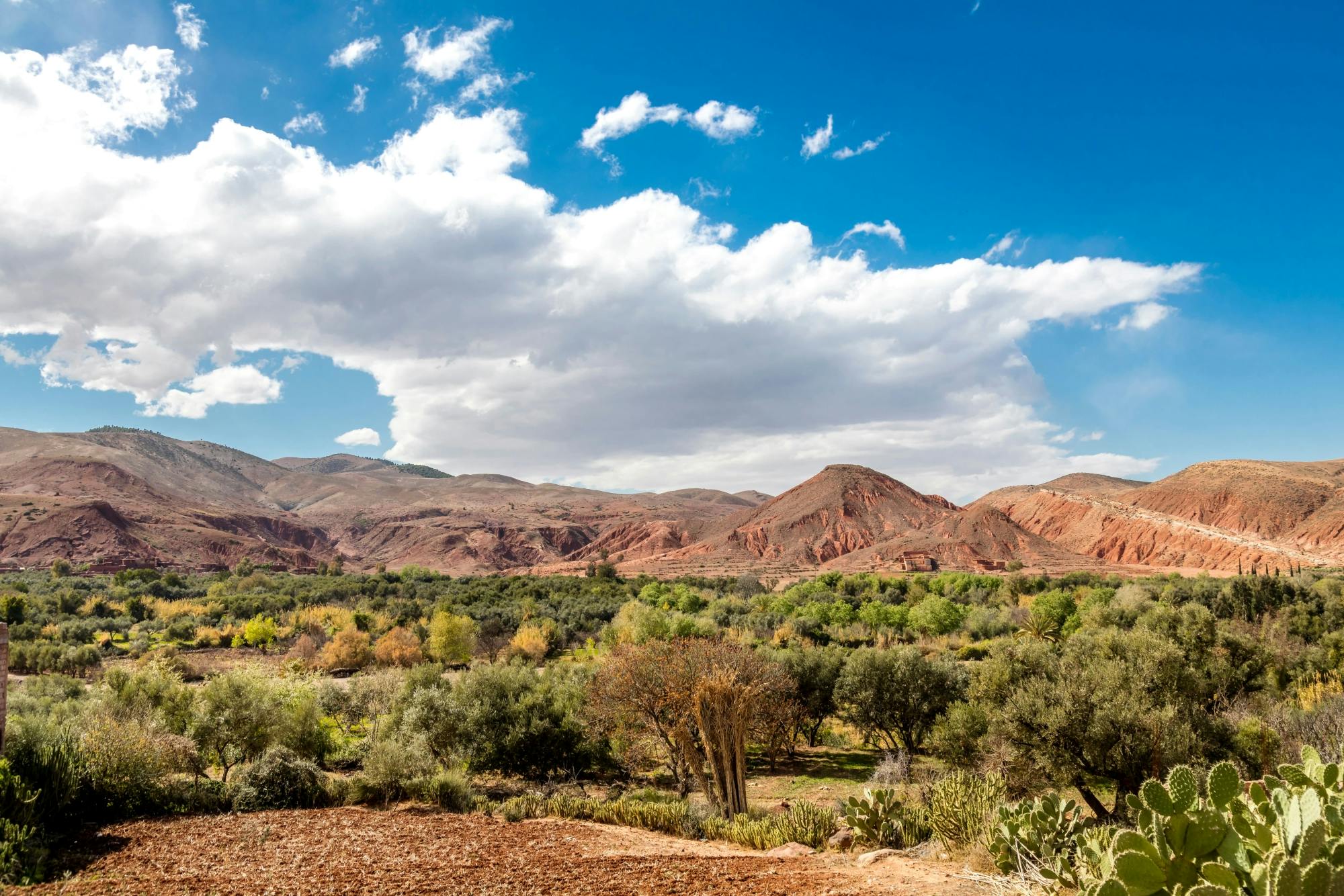 High Atlas Mountains Private 4x4 Tour with Lunch