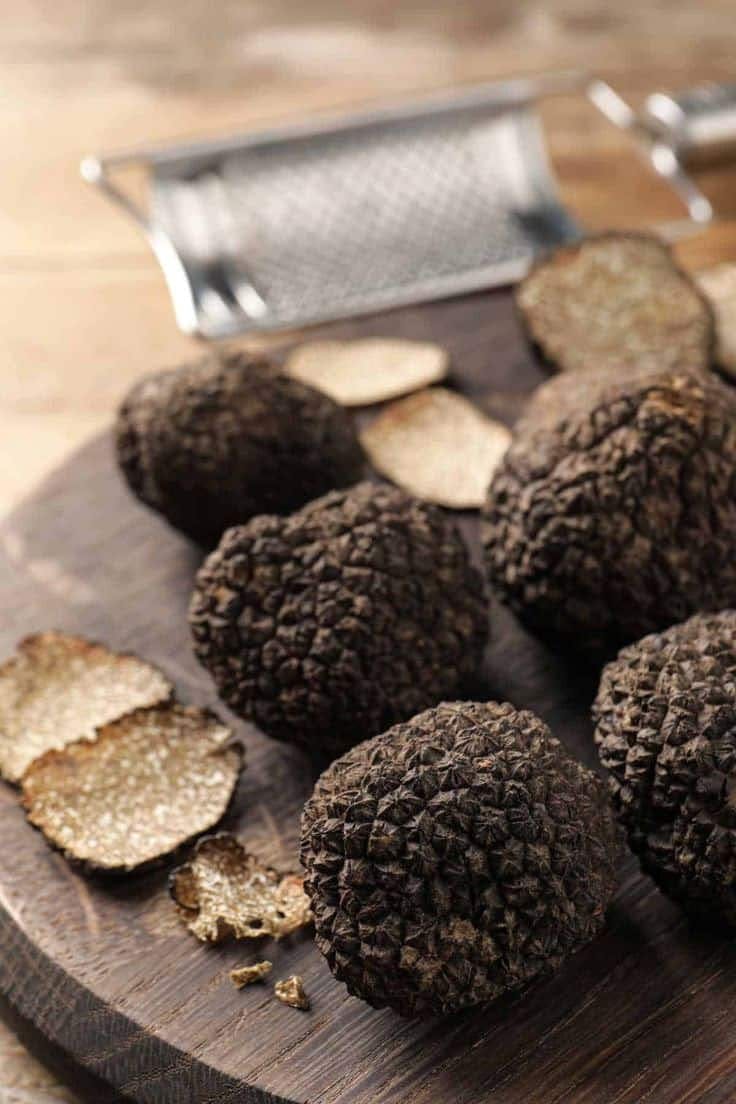 Truffle Hunting Experience