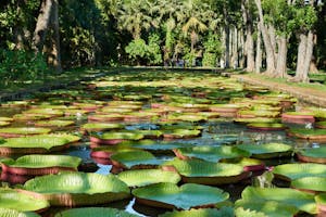 Mauritius Island image