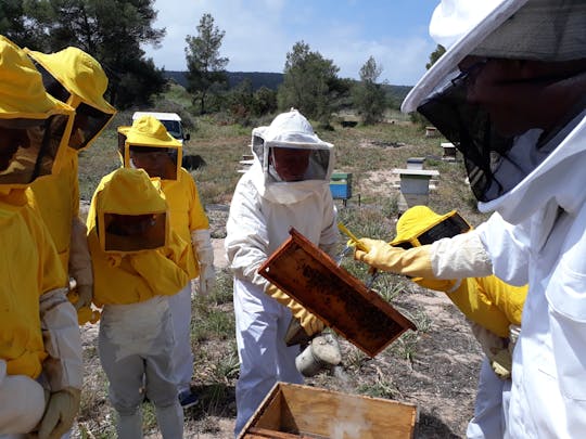 Tour dell'apiario con degustazione di miele a Minorca
