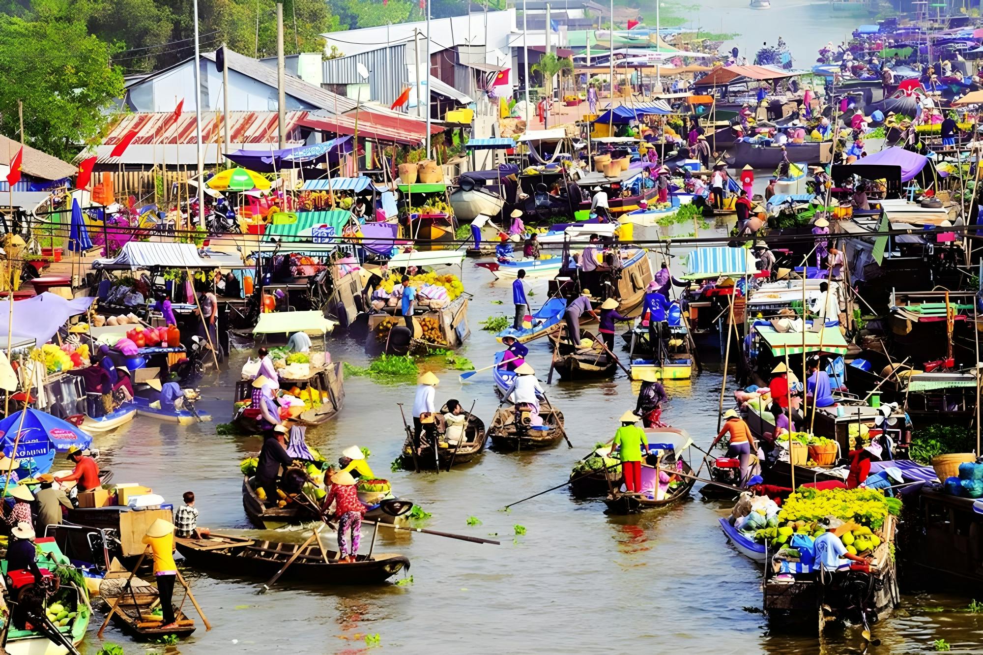 Mekong Delta Day Trip: Cai Be and Tan Phong Island Experience