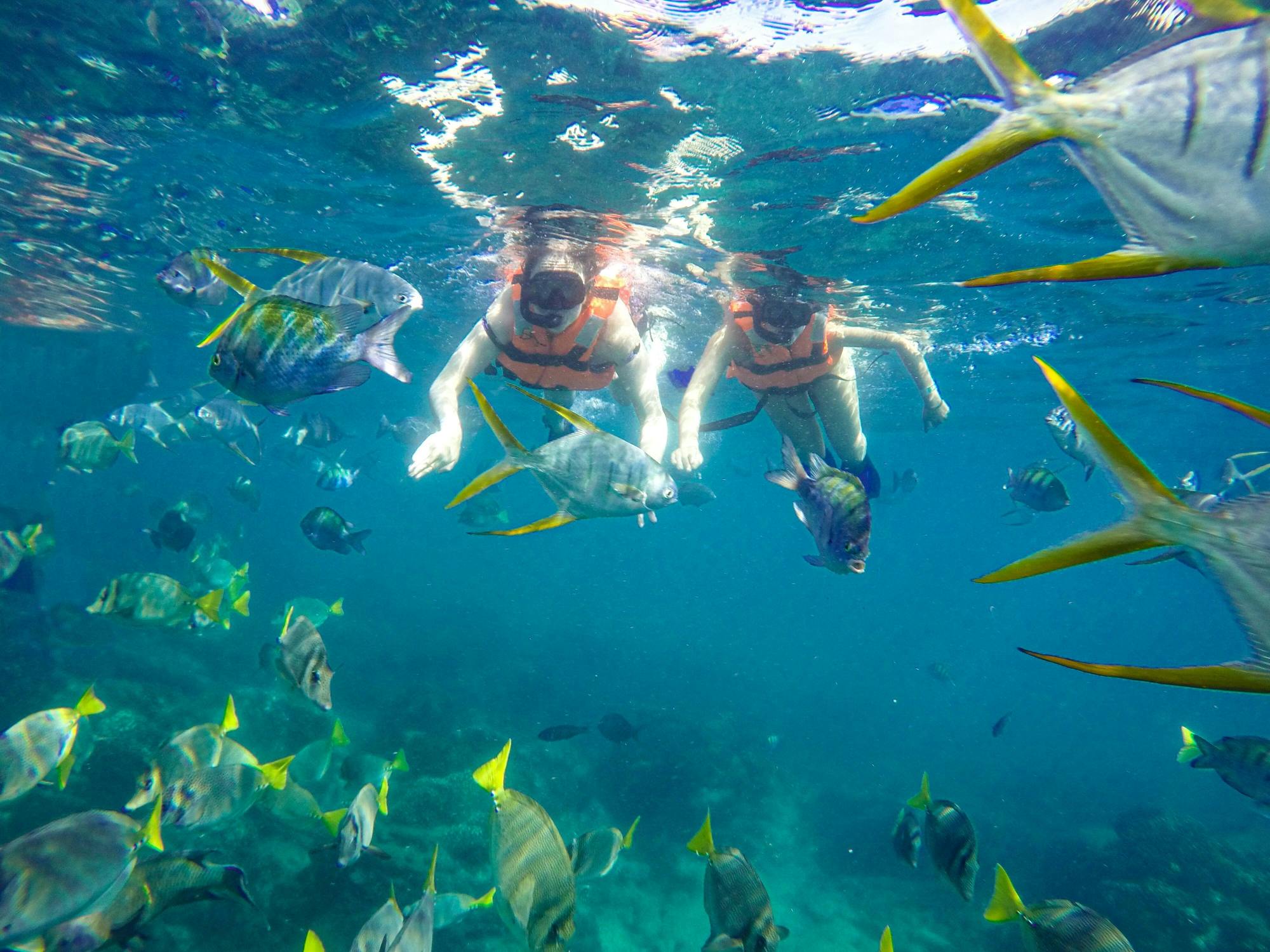 Land’s End Boat and Snorkelling Tour