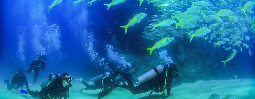 Los Cabos Two Tank Scuba Diving