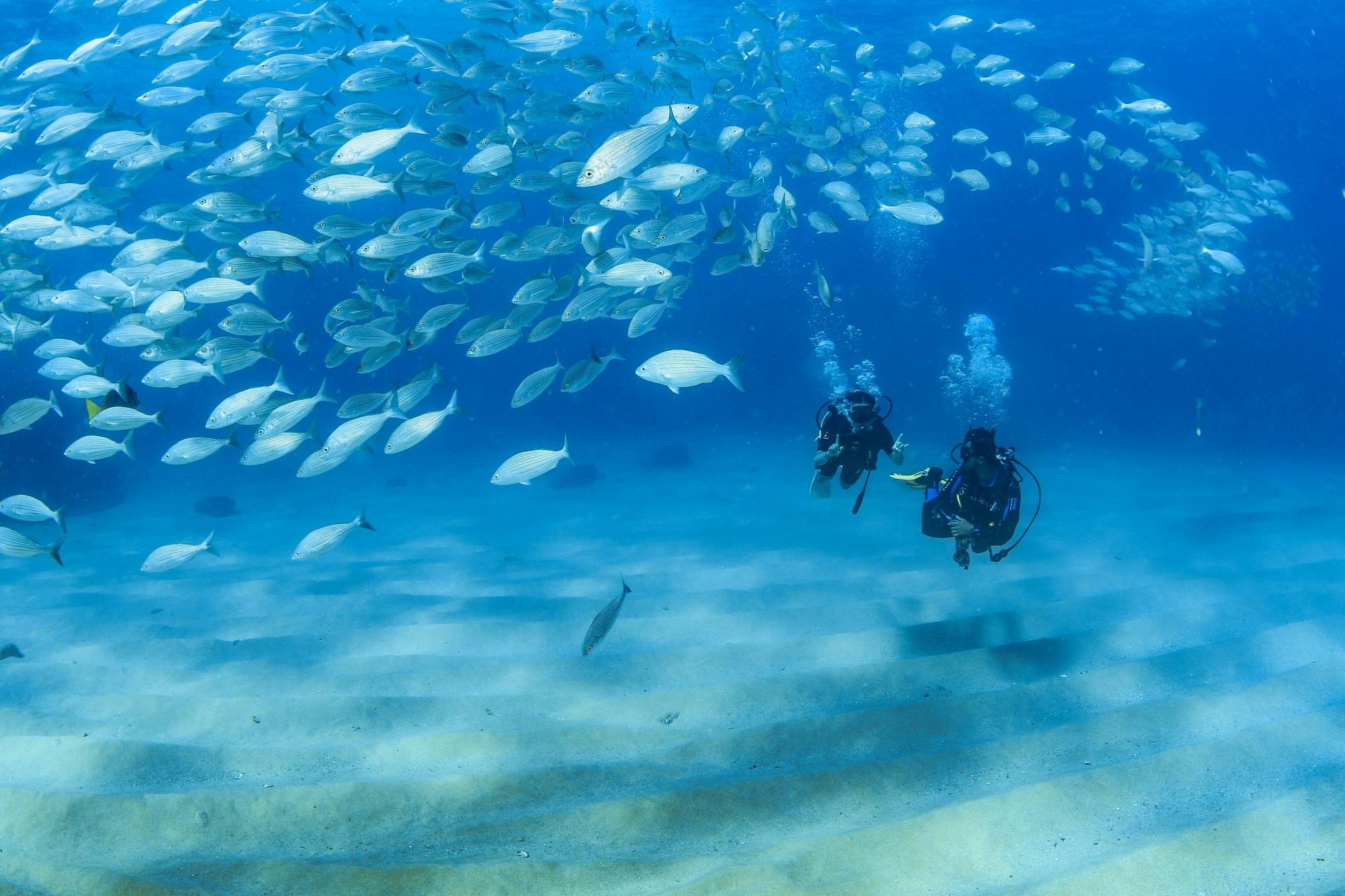 Los Cabos Two Tank Scuba Diving