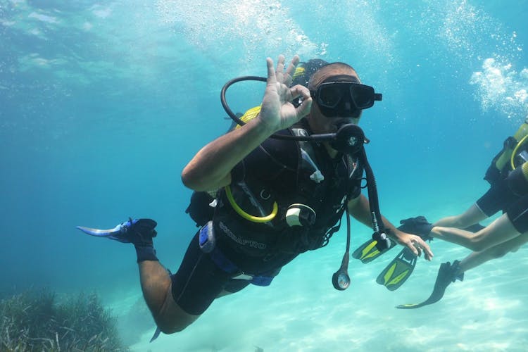 Single Dive Majorca with Skualo Water Sports