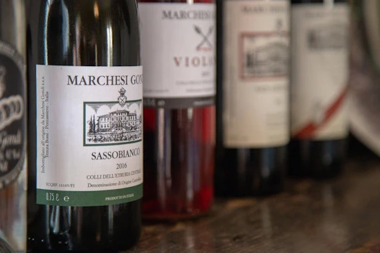 The essence of Chianti Rufina tour with tasting in Renaissance villa