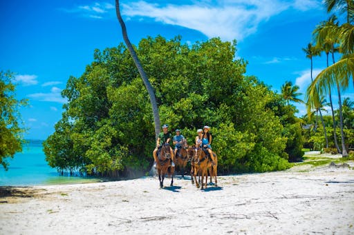 Punta Cana Horse Riding Tour