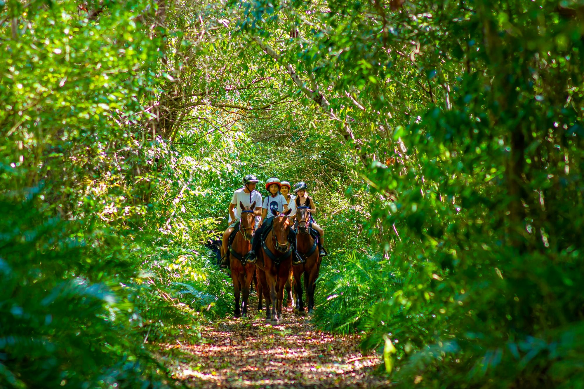 Punta Cana Horse Riding Tour