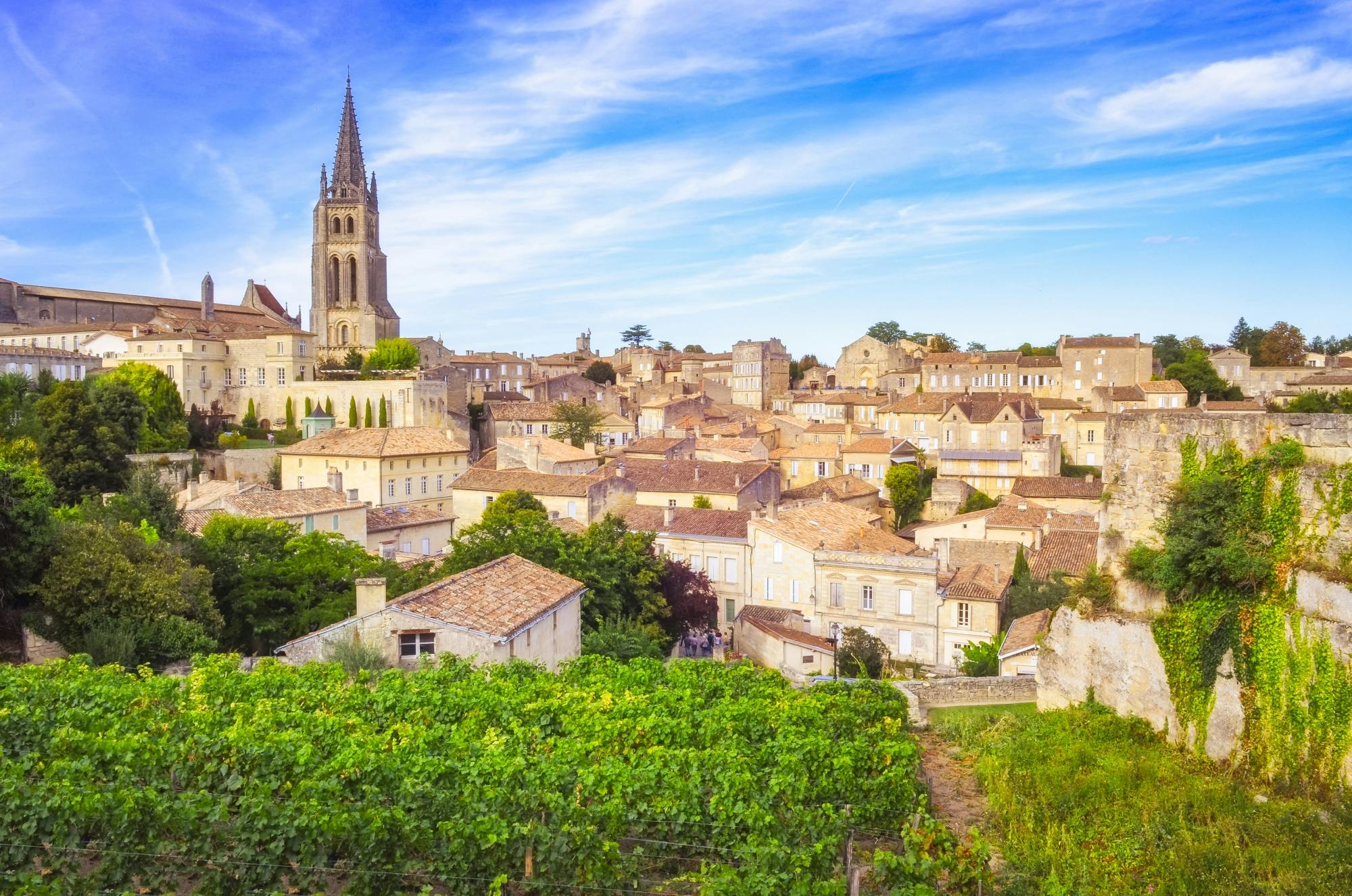 Excursion d'une journée dans les vignobles de Saint-Émilion au départ de Bordeaux