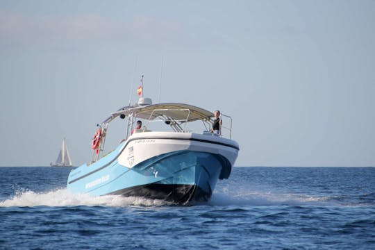 Croisière sur la côte sud de La Gomera