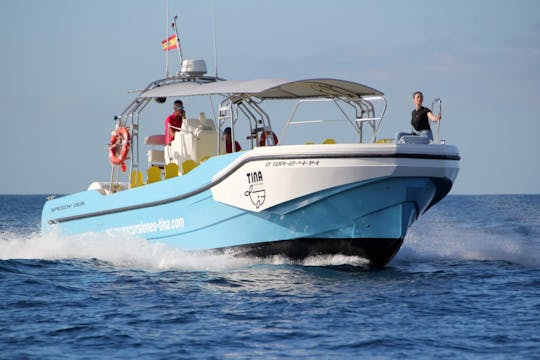 Croisière d'observation des baleines à La Gomera