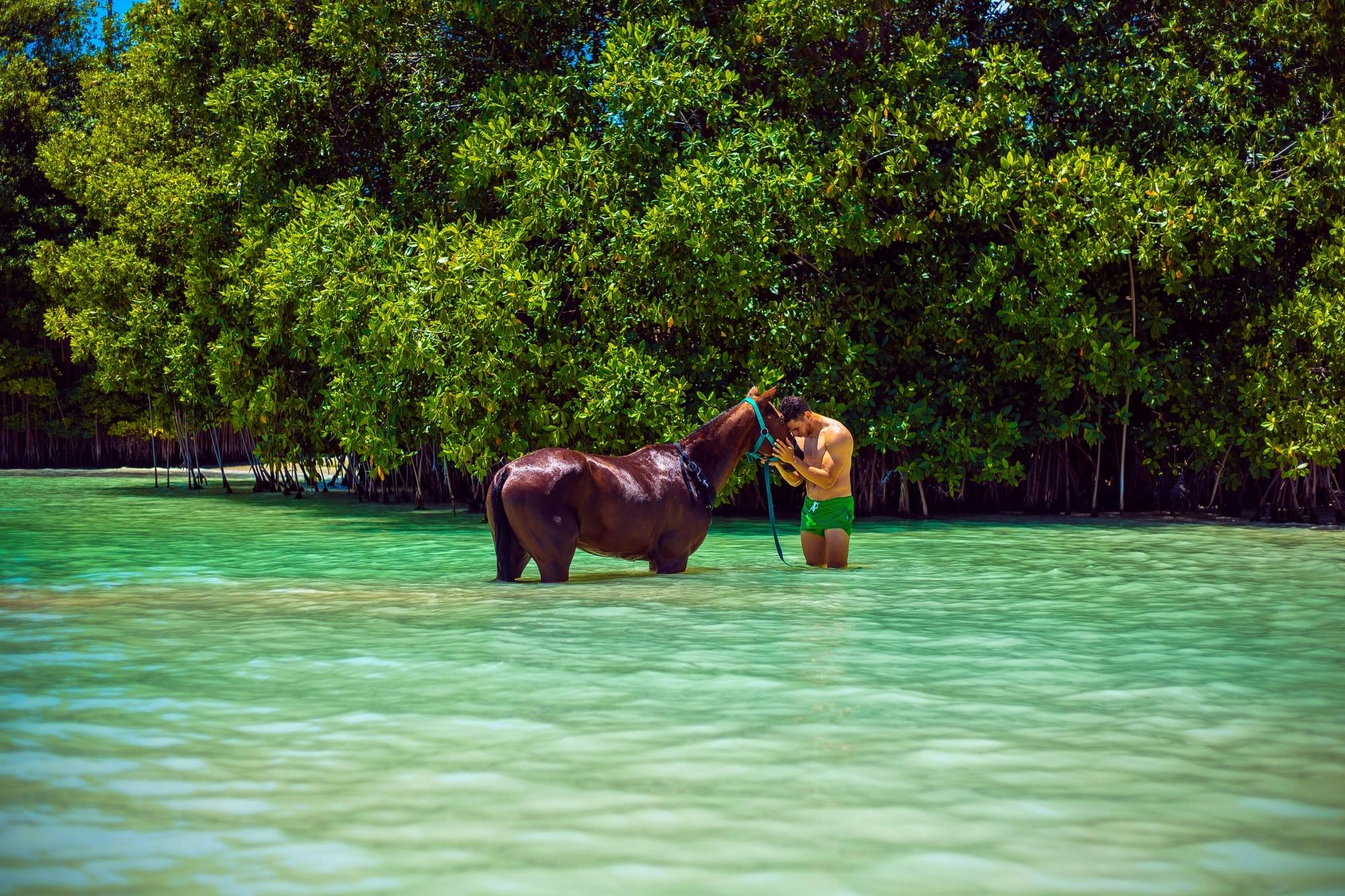 Punta Cana Horse Riding Tour