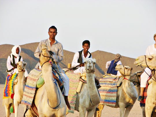 Experiência de quadriciclo com passeio de camelo no deserto de Marsa Alam