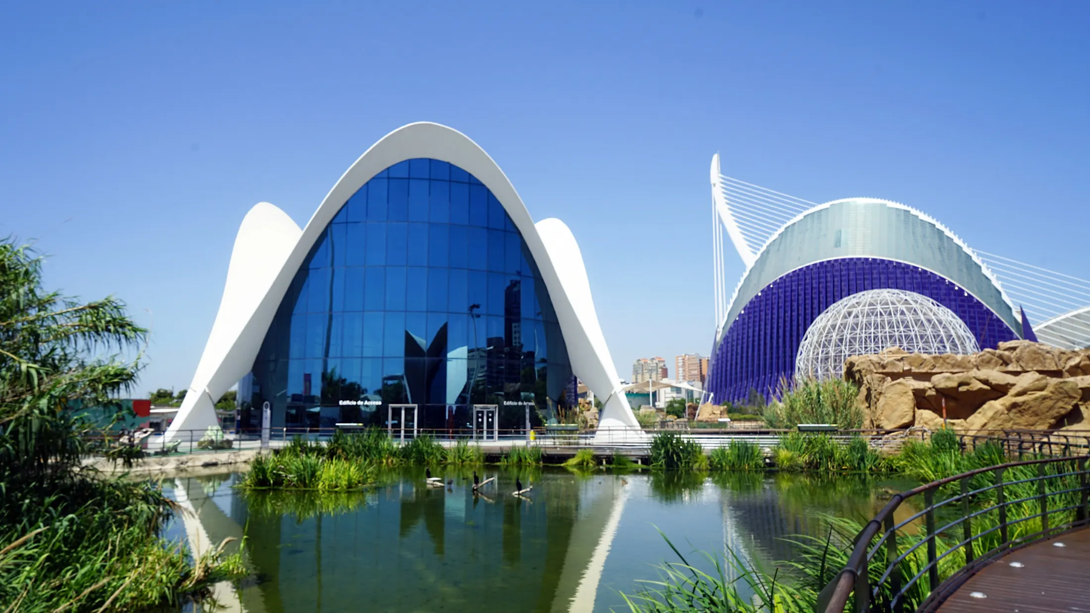 Oceanogràfic Valencia – pääsylippu