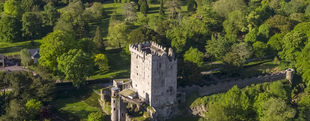 Excursion d'une journée au château de Blarney et à Cork