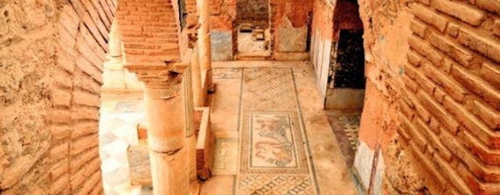 EPHESUS RUINS AND THE HOUSES OF THE RICH