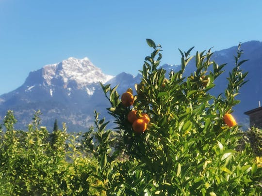 Nat Geo Day Tour: The Valley of the Oranges