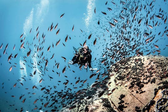 Wycieczka łodzią Scuba Plus i nurkowanie z rurką