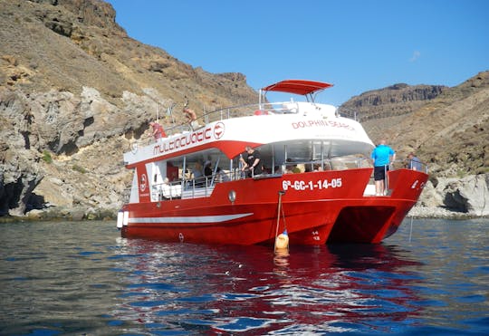 Croisière Dolphin Safari et le marché de Mogan