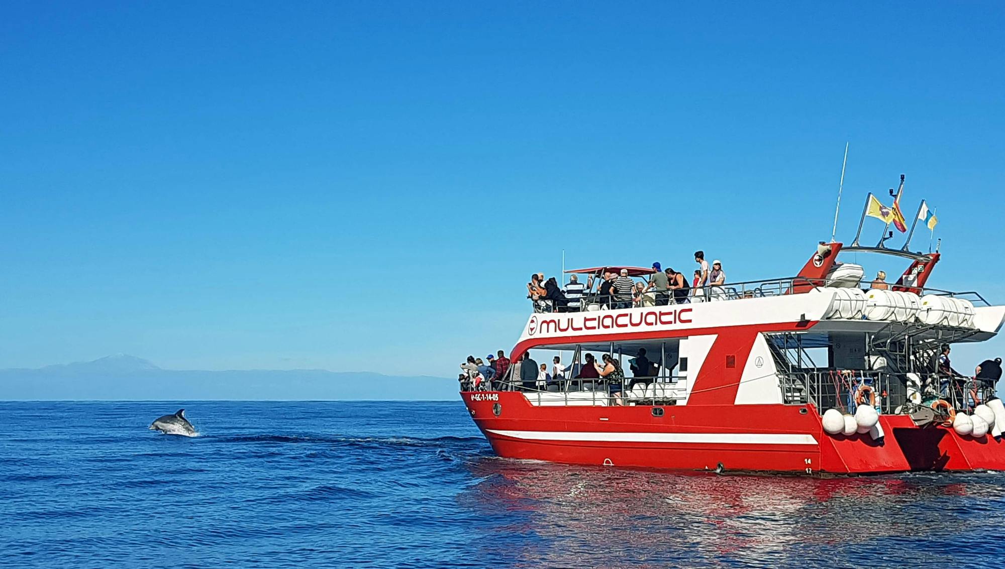 Dolphin Safari Cruises Gran Canaria