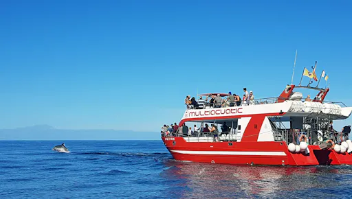 Dolphin Safari Cruises Gran Canaria