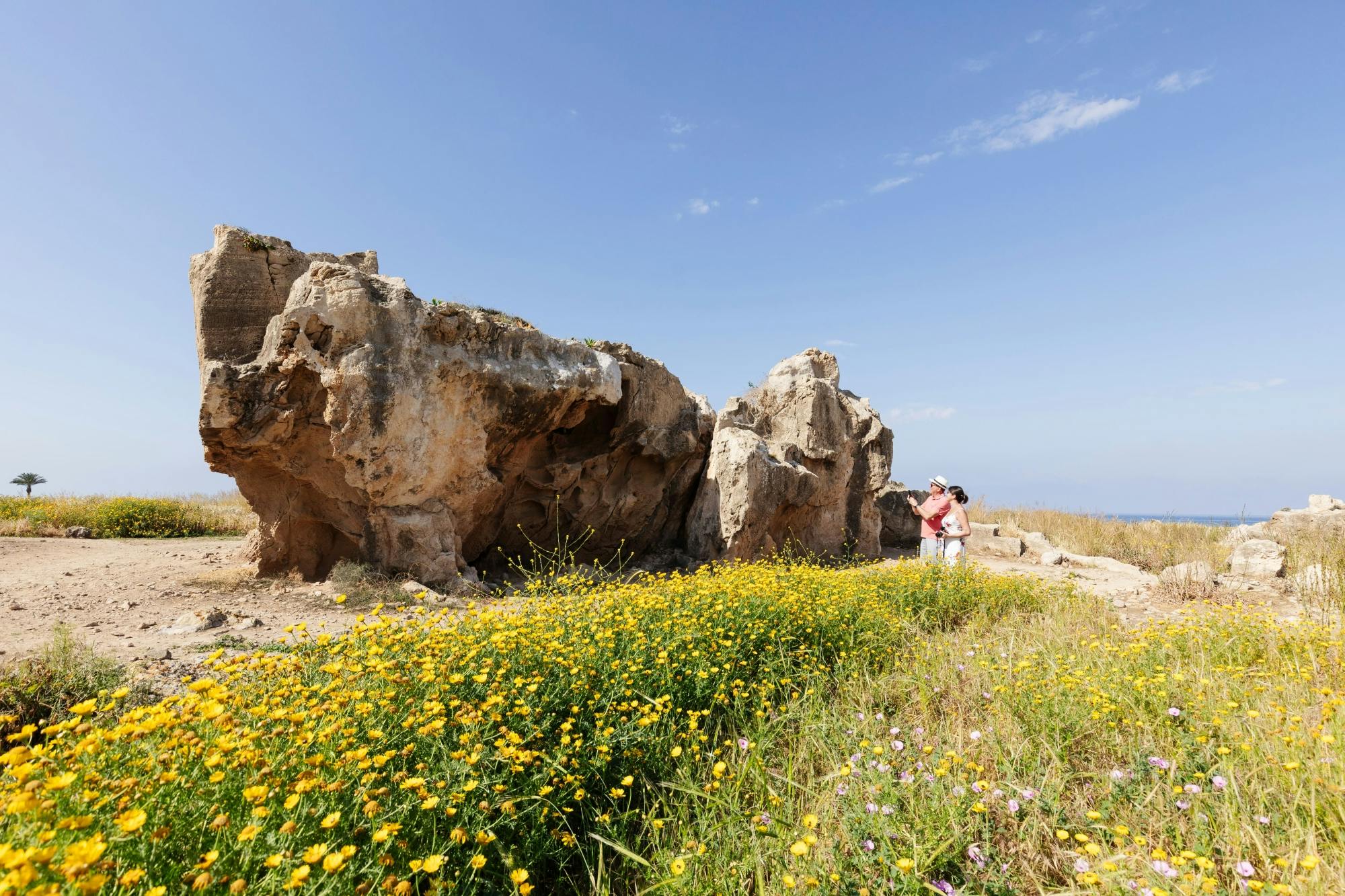 Ancient Kourion Tour with Paphos Town