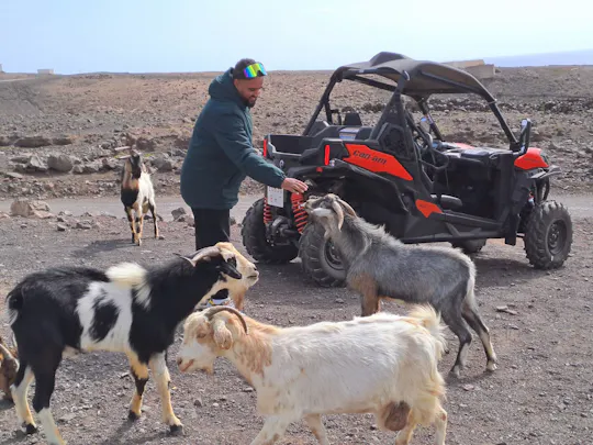Buggy tour from Morro Jable to Punta de Jandia