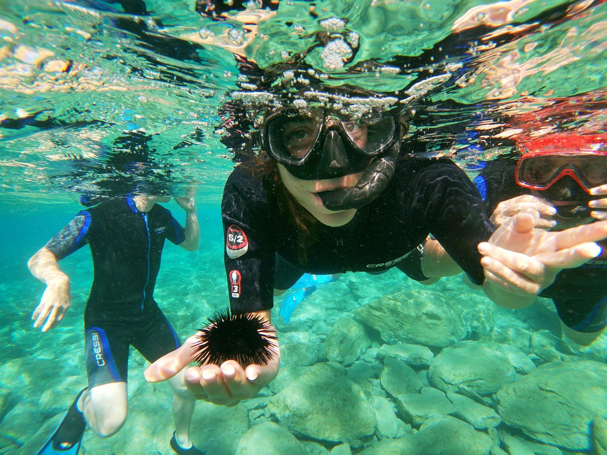 Experiência de mergulho com snorkel em Creta