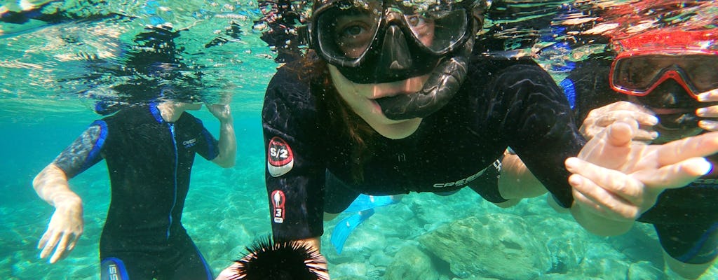 Snorkeling experience in Crete