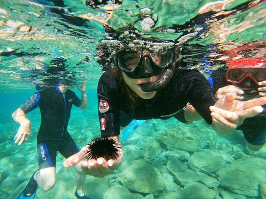Experiencia de snorkel en Creta.