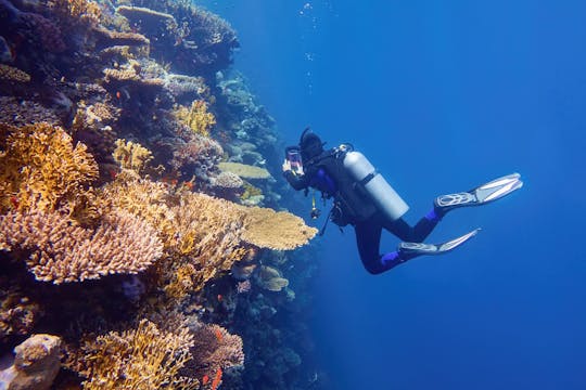 Bilet na nurkowanie Scuba Plus